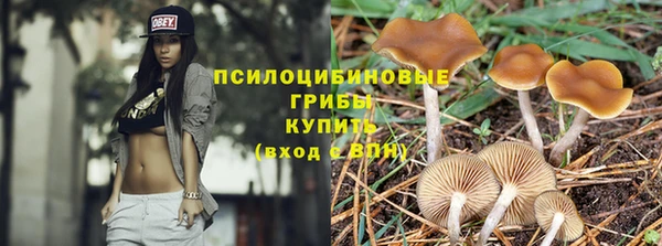 a pvp Алзамай